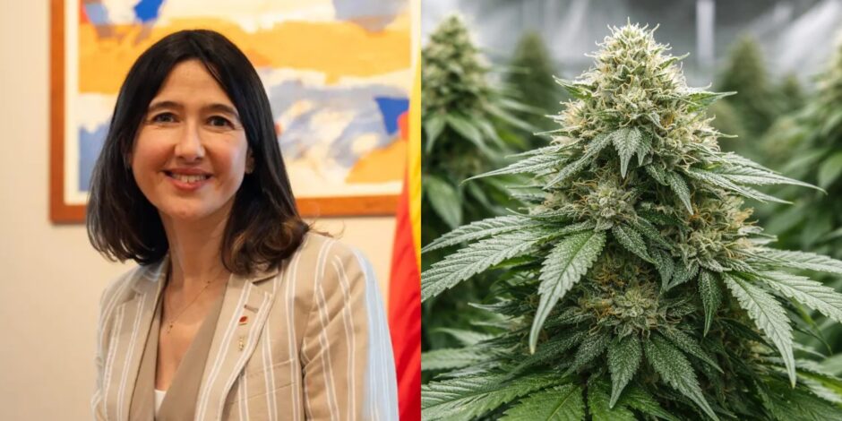 Ley Multirreincidencia 2026: Parlon y la Reforma Penal