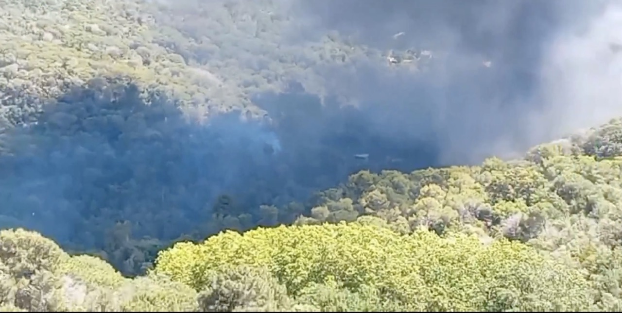 Incendio químico en Òrrius hoy 28 de mayo tras el fuego en Proquinat. Las llamas alcanzaron masa forestal en el Maresme y obligaron al confinamiento de vecinos.